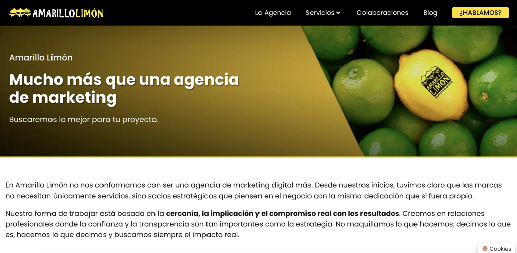 Mejores agencias SEO en España - Amarillo Limón